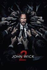 John Wick: Chapter 2 (2017) John Wick: Chapter 2 (2017)