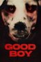 Nonton Film Good Boy (2022) Nonton Film Good Boy (2022)