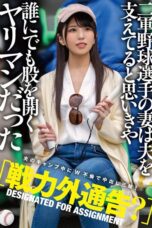 MTALL 081